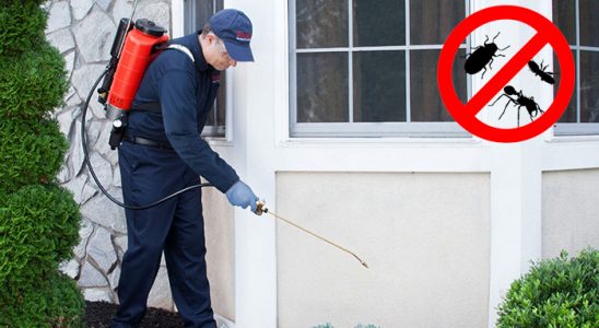 Çayıralan Kene İlaçlama böcek ilaçlama ve haşere kontrolü — ilaclama-tr.com